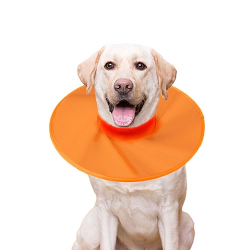 Weiches Haustierhalsband, wasserabweisend, Haustierhalsband, schützend, bequem, wasserabweisend, schnelltrocknend, hochelastischer Ausschnitt, Hundegenesungshalsband, Orange, S von Leadrop