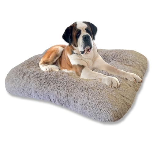 Leanbe Hundebett Hundekissen Hundematratze Ruheplatz Hunde Matratze (Beige Shaggy, XXL:140x95x14cmm) von Leanbe