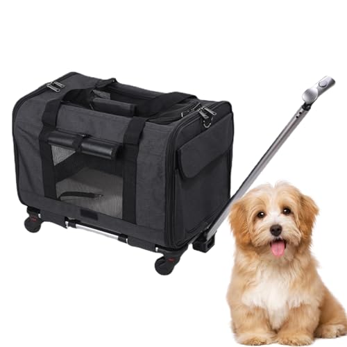 Chien-Träger, Katzenstrahl, Tierträger mit teleskopischem Handle-Hunde-Reisetasche, Flexibler Cout innenräumen, von der Firma zugelassen von LearnLyrics