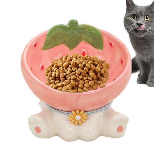 Erhöhter Futternapf für Katzen, Keramik, geneigte Futternäpfe mit Obstform, 245 ml, rutschfeste Futternäpfe für Haustiere, modische Futternäpfe für Trockenfutter, Nassfutter, Snack von LearnLyrics