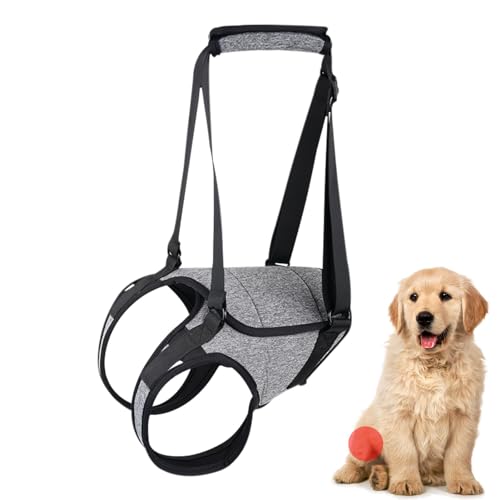 Hundegeschirr Hinterbeinstütze - Hunde Hecklift Geschirr, Hund Lift Geschirr für Große Hunde | Dog Lift Support Harness mit Griffgurten, Senior Hundegeschirr, Hundegeschirr Hinterbeinstütze, Haustier von LearnLyrics