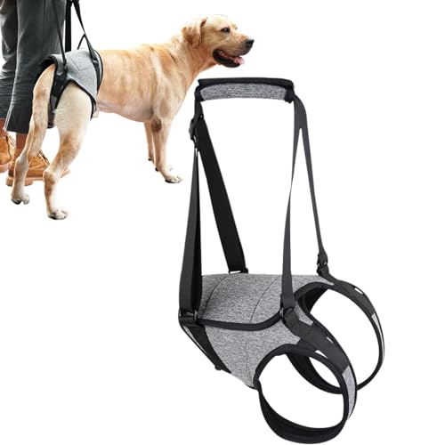 Hundegeschirr Hinterbeinstütze - Hunde Hecklift Geschirr, Hund Lift Geschirr für Große Hunde | Dog Lift Support Harness mit Griffgurten, Senior Hundegeschirr, Hundegeschirr Hinterbeinstütze, Haustier von LearnLyrics