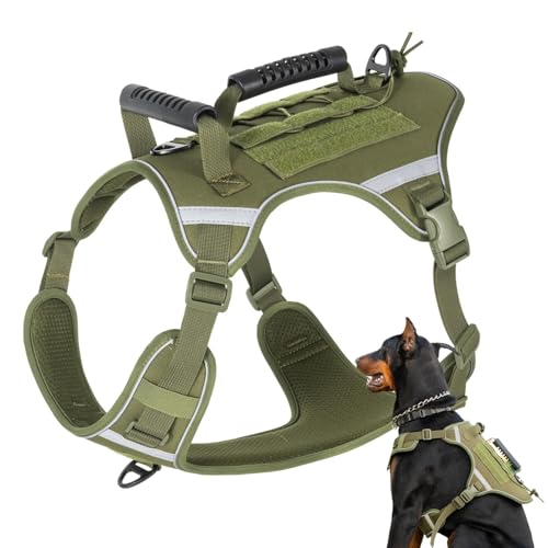 Hundegeschirr - Reflektierende Hundeweste - No Pull Hundeweste Walking Harness - Verschleißfestes Verstellbares Westengeschirr für Training & Outdoor zum Spazierengehen, Wandern von LearnLyrics