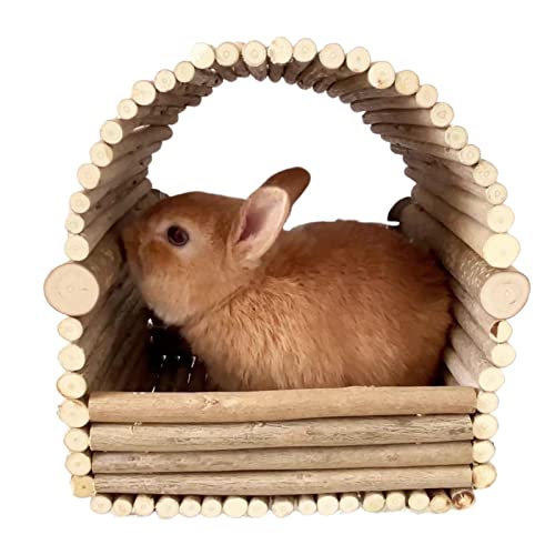 Kaninchenhaus, Hamster, Nest aus Holz, abnehmbar, mit Plattform | Terption und Spieler für Innenkaninchen, Chinchillas, Hamster und Meerschweinchen, Hütte zum Verstecken von LearnLyrics