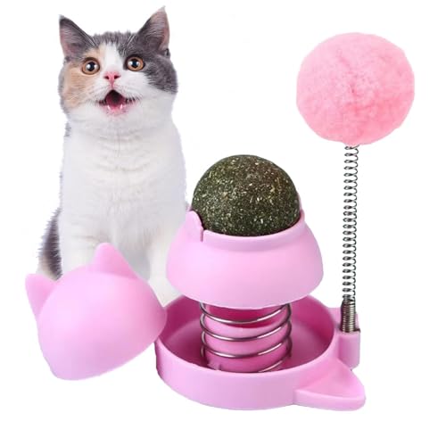 Katzen-Aufkleber – Wand mit Katzenblasen, Wandspielzeug mit Katze | Katzen lecken die Zähne, Spielzeugball zum Lecken von Katzen, infundierter Ball mit Katze, drehbare Bälle von LearnLyrics