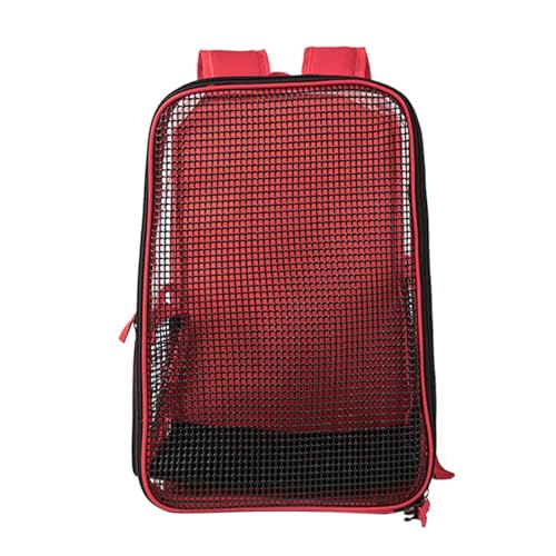 Katzenrucksack – Haustiertrage-Rucksack, Hundetrage-Rucksack | Mesh-Belüftung, bequeme Polsterung, zusammenklappbares Design, von der Fluggesellschaft zugelassener faltbarer Träger für kleine Hunde un von LearnLyrics