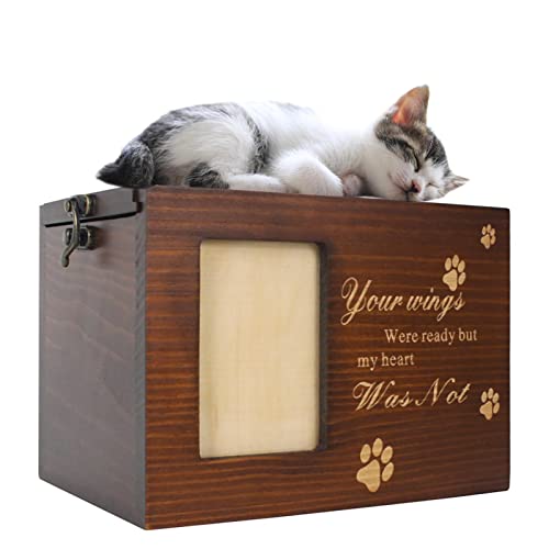 LearnLyrics Haustier-Urne für Asche, Cottage Hund Katze Erinnerungsbox mit Kerzenhalter, Haustier Gedenk-Andenken Beerdigungs-Schatullen, Dog Or Cat Paw Prints Pet Box with Clay Kit, von LearnLyrics