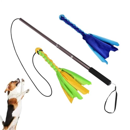 LearnLyrics Outdoor Hundeflirtstange, Flirtenstange für Hunde - Erweiterbarer Welpejagd Stab,Haustier necken Flirt Pole Interactive Toy für Unterhaltung, Spiele und Training von LearnLyrics