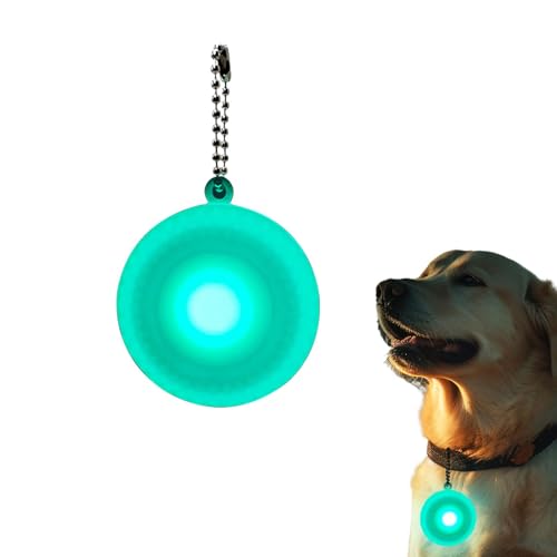 Leichtes Hundehalsband – verstellbares Hundehalsband, wasserdichtes Hundehalsband | Anhänger Silikon-Hundehalsband, Sicherheits-Nachtlauflichter, reflektierendes Licht, leichtes Hundehalsband, nächtli von LearnLyrics