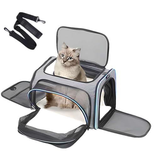Reisetasche für Hunde, Katzentasche, Faltbare Netz-Haustier-Tragetasche | Tragbare Haustier-Tragetasche für Fahrrad, Auto, Reisen, Atmungsaktive Katzentaschen Reisetasche für Hunde, Katzentasche, Faltbare Netz-Haustier-Tragetasche | Tragbare Haustier-Tragetasche für Fahrrad, Auto, Reisen, Atmungsaktive Katzentaschen von LearnLyrics