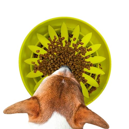 Slow Feeder Pet Bowl | Hund Futternapf - Hund Futternapf, Hund Futternapf, Rutschfester Hund Slow Feeder Bowl für Gesunde Ernährung, Hunde Katzen von LearnLyrics