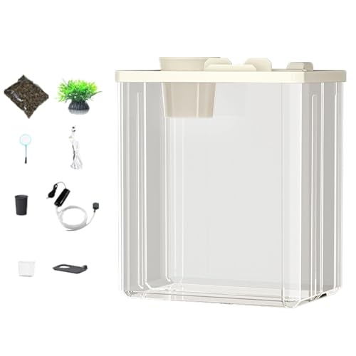 Tabletop Fish Habitat – Transparenter Fischbehälter, Schreibtischaquarium | Fischglas aus Glas, kristallklares Aquarium mit stimmungsvoller Beleuchtung und Luftpumpe, stilvolles, kompaktes Aquarium mi von LearnLyrics