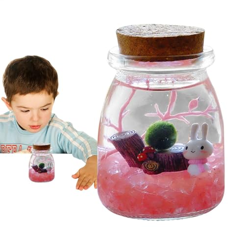 Tropical Biodome - Ecoworld Flaschengarten Mit 3 Pflanzen Im Glas - Pflanzen Terrarium Glas, Tropical Biodome - Ecoworld Flaschengarten Mit 3 Pflanzen Im Glas - Pflanzen Terrarium Glas von LearnLyrics