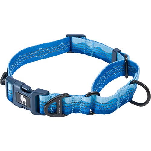 Leashboss Martingale Halsband für Hunde,Reflektierendes Nylon-Hundehalsband für große Hunde, mittelgroße und kleine Hunde,Schnellverschluss-Schnalle, verstellbares Haustierhalsband von Leash Boss