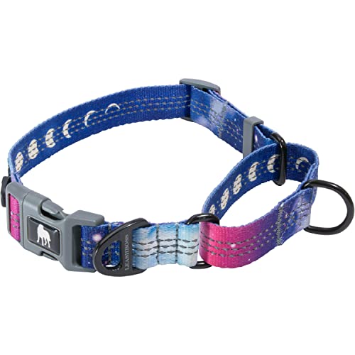 Leashboss Martingale Halsband für Hunde | Reflektierendes Nylon-Hundehalsband für große Hunde, mittelgroße und kleine Hunde | Kein Ziehen Haustier-Trainingshalsband klein | Schnellverschluss-Schnalle, verstellbares Haustierhalsband von Leash Boss