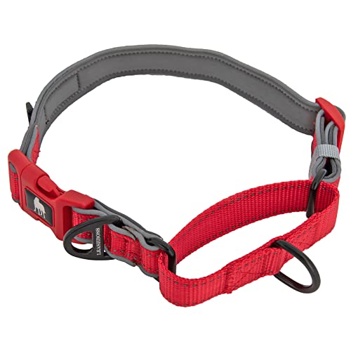 Leashboss Verstellbares, reflektierendes Martingale-Hundehalsband mit bequemer Polsterung, Rot, 40.6–48.3 cm Halsumfangx2.5 cm Breite) von Leash Boss