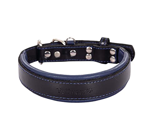 Hundehalsband, Echtleder Hundehalsband, Schwerlast Hundehalsband, Breit Hundehalsband für kleine Hunde, mittelgroße Hunde, große Hunde und extra große Hunde (groß, blau & schwarz) von Leather Street