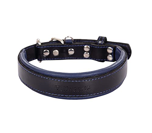 Hundehalsband, Echtleder Hundehalsband, Schwerlast Hundehalsband, Breit Hundehalsband für kleine Hunde, mittelgroße Hunde, große Hunde und extra große Hunde (klein, blau & schwarz) von Leather Street