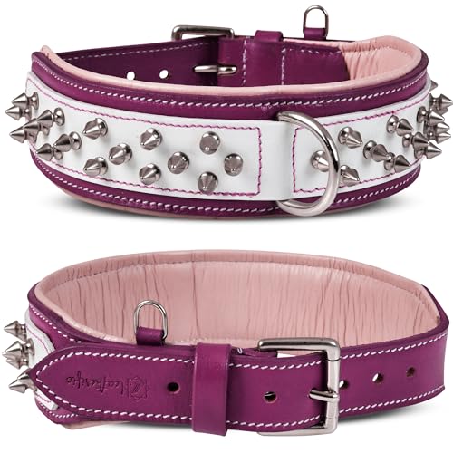 Leatherific Spike Hundehalsband, Spiky-Serie, hochwertiges echtes Zaumleder, strapazierfähig, gepolstert, stark, für mittelgroße und große Rassen, Magenta-Weiß, 5,1 cm breit, Magenta, Halsumfang 55,9 von Leatherific