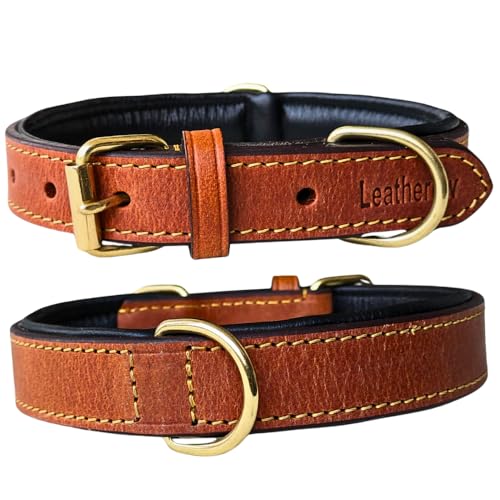 Leatherow Hundehalsband aus echtem Leder, vollnarbig, strapazierfähig, bequem, gepolstert, stark, am besten für Welpen, kleine, mittelgroße und große Rassen (Größe M, Hellbraun) von Leatherow