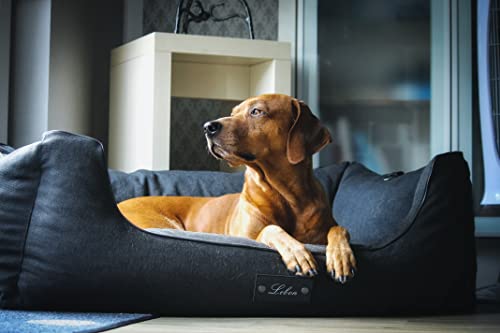 Lebon - Hundebett Carl Plus - 80x60x27cm- Orthopädisch- mit Liegedecke zum befestigen - Deluxe - Made IN EU von Lebon