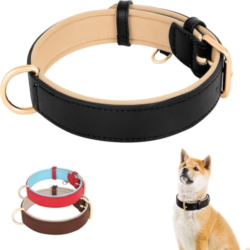 Gepolstertes Hundehalsband aus Leder – Strapazierfähiges, Verstellbares Halsband aus Echtem Leder für Welpen, Kleine und Mittlere Hunde (Schwarz, M) von Ledander