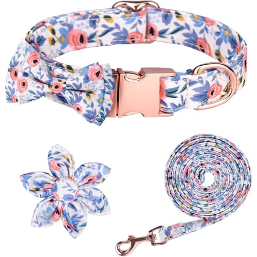 Hundehalsband und Leine, Set mit Fliege – verstellbare Leine und Halsband für kleine, mittelgroße und große Hunde – stilvolles Haustierzubehör (Blau, M) von Ledander