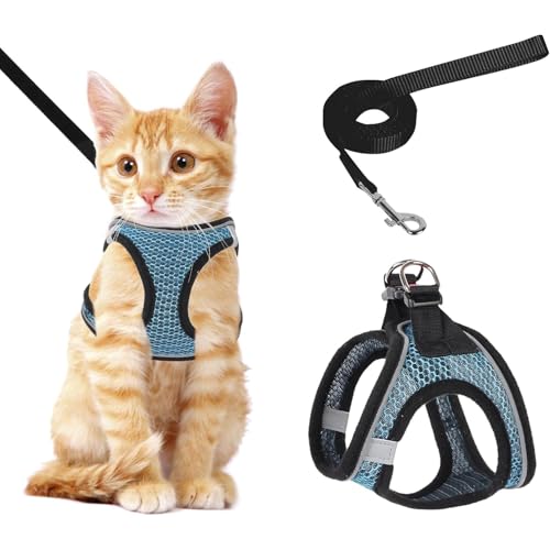 Katzengeschirr und Leine Set mit Reflexstreifen - verstellbare Weste für sicheres Gehen von Kätzchen und kleinen Katzen (Blau, M) von Ledander