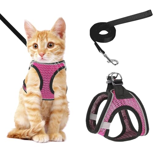 Katzengeschirr und Leine Set mit Reflexstreifen - verstellbare Weste für sicheres Gehen von Kätzchen und kleinen Katzen (Rosa, M) von Ledander