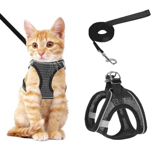 Katzengeschirr und Leine Set mit Reflexstreifen - verstellbare Weste für sicheres Gehen von Kätzchen und kleinen Katzen (Schwarz, XS) von Ledander