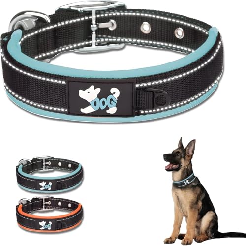 Reflektierendes Nylon-Hundehalsband von Hunter – Verstellbares, Weiches und Atmungsaktives Gepolstertes Halsband für Kleine, Mittlere und Große Hunde – Ideal für Training (Blau, M) von Ledander