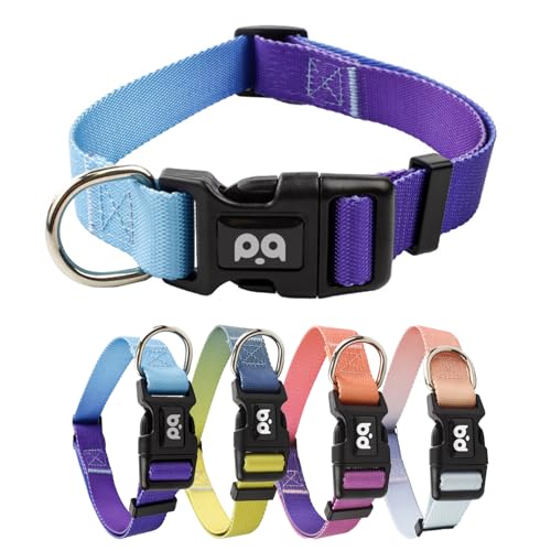 Ledeak Nylon Hundehalsband, Verstellbar Hunde Halsband Mit Farbverlauf, Welpenhalsband Mit Robuster Sicherheitsschnalle, Anti Zug Hunde Halsband für Welpen Kleine Mittel Große Hunde (Hellblau, L) von Ledeak