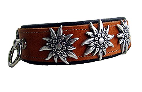 Hunde Halsband Leder Halsband 2 Farbig hell-braun-schwarz 4 cm breit für Halsumfang 36-38 cm Edelweiß von Lederecke Konstanz