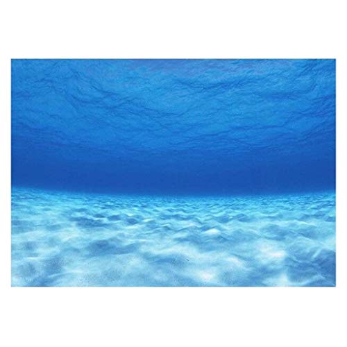 3D-Poster für Aquarium-Universum, Landschaft, 61 x 30 cm von Leeadwaey