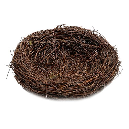 Vogelnest, handgefertigt, für Zuhause, Natur, Handwerk, Urlaubsdekoration, 35 cm von Leeadwaey