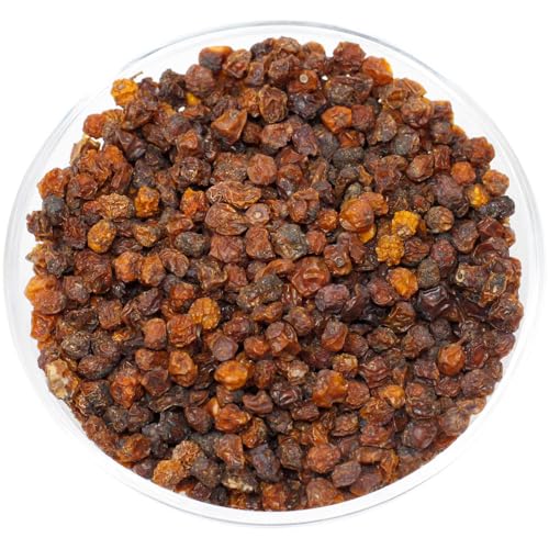 Leimüller Vogelbeeren 1 kg | Ausgewogene Eberesche aus Österreich | Beliebt bei Vögeln & Eichhörnchen | Schneller Energielieferant & Vitaminbooster | Ohne Zuckerzusatz & Konservierungsstoffe von Leimüller