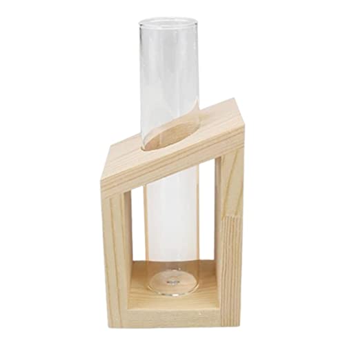 Reagenzglasvase aus Glas, Pflanzgefäß, Terrarium für Hydrokulturpflanzen, 1 Röhrchen, Beige von Leisurealeaneag