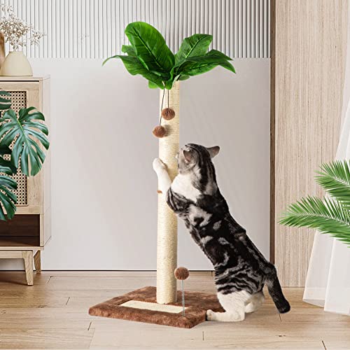 Leisuremix Kratzsäule für Katzen, Kratzstamm XXL 80cm hoch, Katzenkratzbaum für Kätzchen, grüner Kratzbaum modernes Design für große Katzen von Leisuremix
