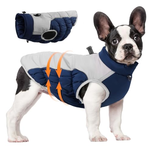 Hunde Wintermantel wasserdes Warmer Hundebel mit Gurt Refreative Reißverschluss -Up -Hundejacke kaltes Wetter gemütlicher Baumwollmantel für mittlere große Hunde 2xlwith von LejeMaek