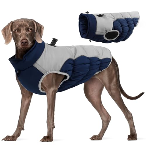 Hunde Wintermantel wasserdes Warmer Hundebel mit Gurt Refreative Reißverschluss -Up -Hundejacke kaltes Wetter gemütlicher Baumwollmantel für mittlere große Hunde 5xlwith von LejeMaek