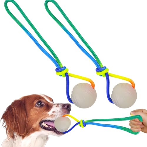 LejeMaek 2pcs glühen im dunklen hundkugel von LejeMaek