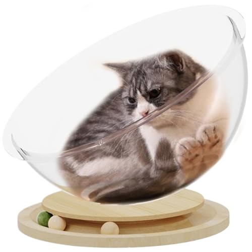 LejeMaek Raumkapsel Katzenbett mit Katzenfischkugel in der Spur 12, 6 -Zoll -Katzenschüsselbett mit Holzbasis Glatte transparente Betten für Innenkatzen innerhalb von 8, 8 Pfund Raumkapsel LejeMaek Raumkapsel Katzenbett mit Katzenfischkugel in der Spur 12, 6 -Zoll -Katzenschüsselbett mit Holzbasis Glatte transparente Betten für Innenkatzen innerhalb von 8, 8 Pfund Raumkapsel von LejeMaek