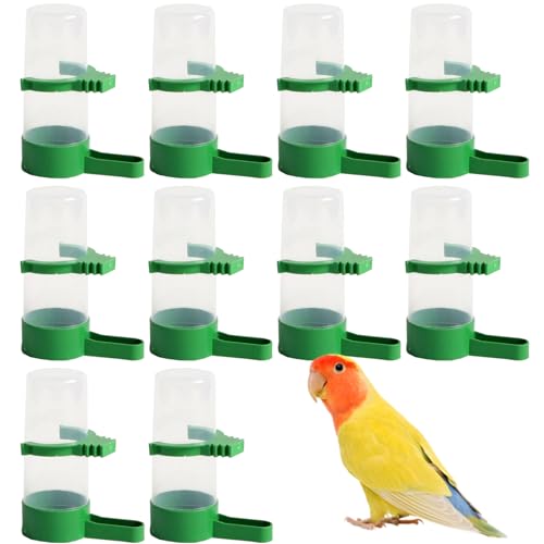 Pigeon Waterer 10pcs Automatische Vogelwasser -Feeder -Splitterfest -Plastik -Vogel -Wasserspender für Papageienpapagei Taube Quail Lovebirds Trinkflasche Trinkflasche von LejeMaek