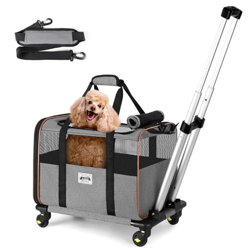 Lekeinchi Katzentransporter mit Rädern für kleine Haustiere, Airline genehmigt Hundetransporter mit Rädern, rollbare Katzentransporter für Hunde, Grau von Lekeinchi