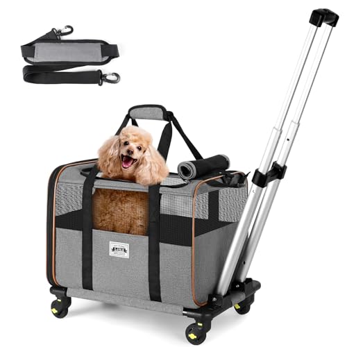 Lekeinchi Faltbare Transportbox Katze Hund mit Rollen, Katzen Transportboxen Anwendbares Flugzeug, 2 in 1 Transporttasche mit Einstellbar Schultergurt, Belüftete - Stabile Katzenbox, Grau von Lekeinchi