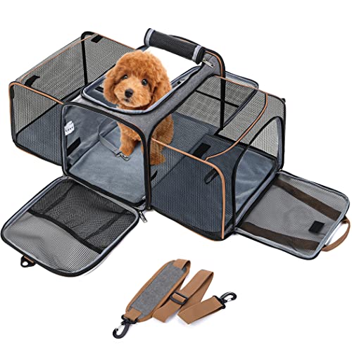 Lekesky Erweiterba Transportbox Katze Hund, Faltbare Katzentransporttasche Hundetasche mit Waschbare Matte und Sicherheitsleine, Grau, XL, BP-21060 von Lekesky