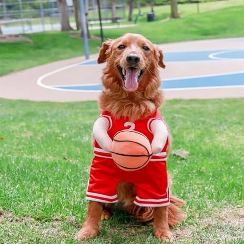 Hund Basketball Kostüm, Basketballspieler Mit Ball Hund Halloween Kostüm, Hund Basketball Kostüm Mit Ball Für Halloween Dress Up Cosplay Outfit von Lembeauty