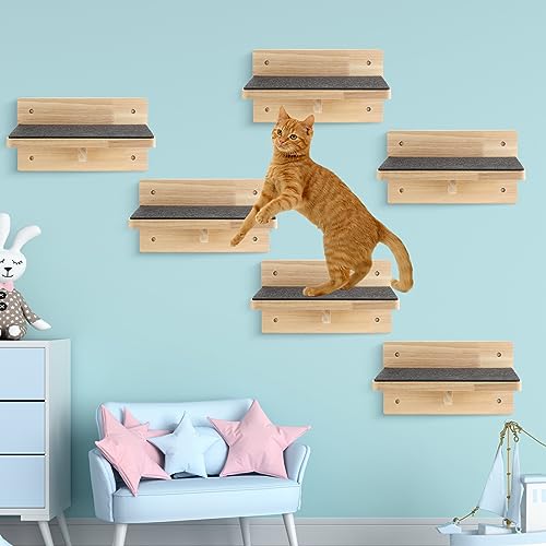 Lenwen 6er Set Katze Wandstufen Regal Regal Holz Katze Kletterregal für Wand Holz Katze Wandmontierte Möbel Katzenwandbett Holz Katzentreppe mit rutschfestem Filz für Springboard Spielen und Ausruhen von Lenwen