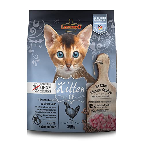 LEONARDO Kitten GF Katzenfutter Kitten, 300 g getreidefreies Trockenfutter für Kätzchen bis 1 Jahr, Alleinfuttermittel mit frischem Geflügel von Leonardo