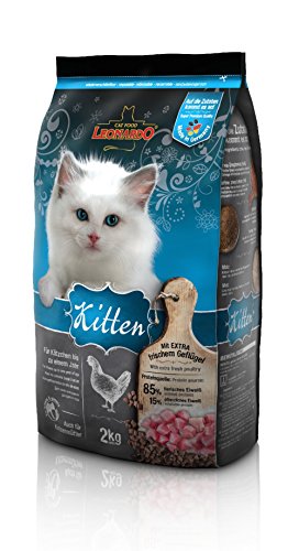 LEONARDO Kitten Katzenfutter Kitten, 2 kg getreidefreies Trockenfutter für Kätzchen bis 1 Jahr, Alleinfuttermittel mit frischem Geflügel von Leonardo